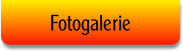 Fotogalerie.